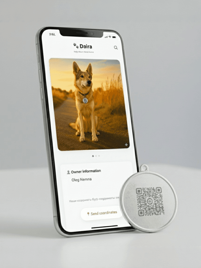 Phone QR demo